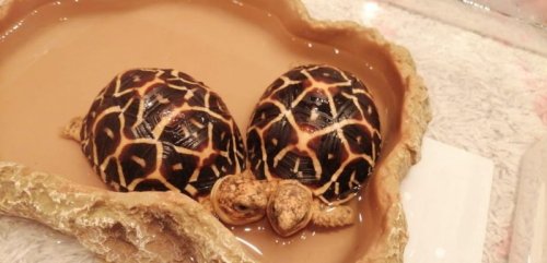 9080f026-b5df-4dae-9417-a51f8883ce8c (2).jpg