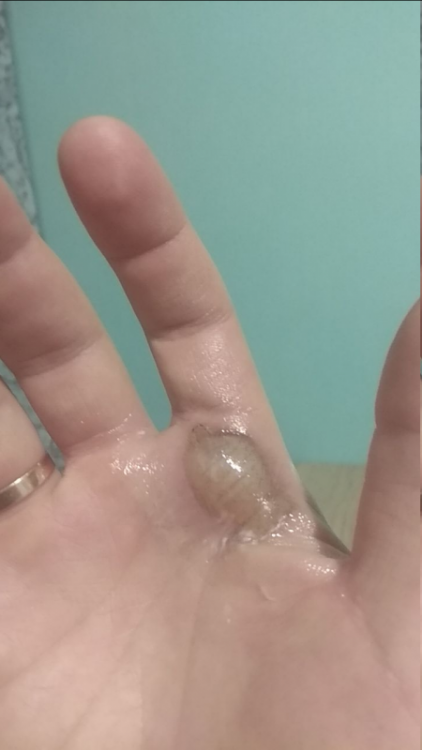 1817406760_.thumb.png.b11847168f36f8dd6a3623c1a048600f.png