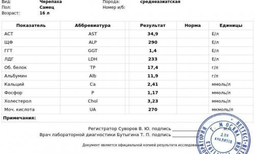 анализ варя.jpg