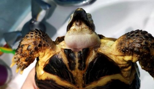 варя показать5.jpg