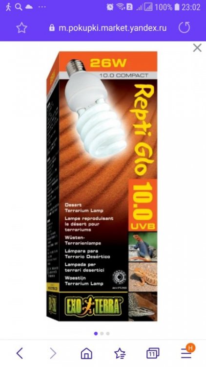 Screenshot_20201107-230246_Samsung Internet.jpg