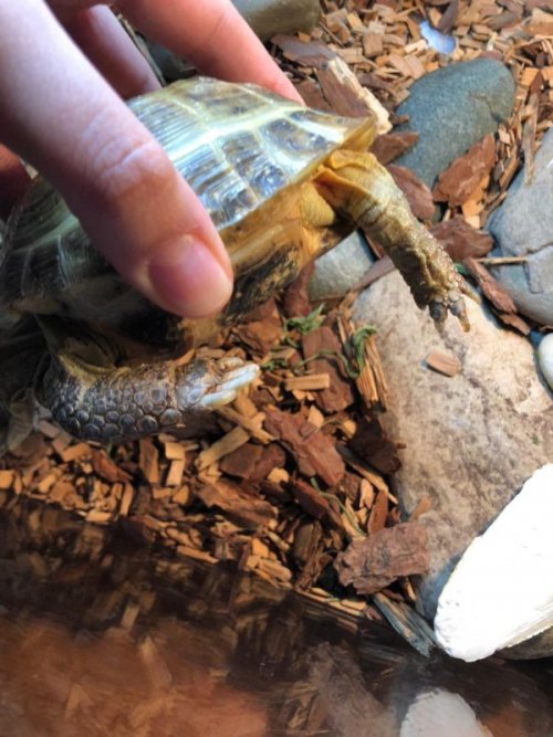 PHOTO-2020-11-15-21-36-11 (1).jpg