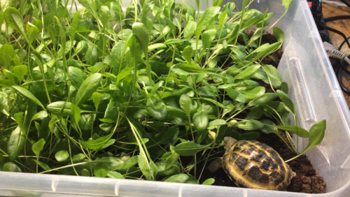 Скриншот 16-11-2020 22.42.46.png