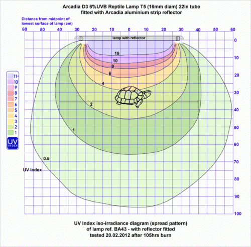 isochartArcadiaT5-D3-reflector.thumb.gif.74fea59b65bfb3935e219c2375a8c69c.gif