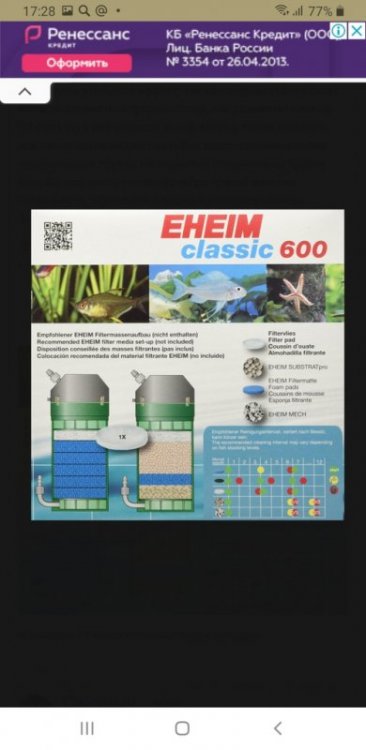 Screenshot_20201118-172834_Samsung Internet.jpg