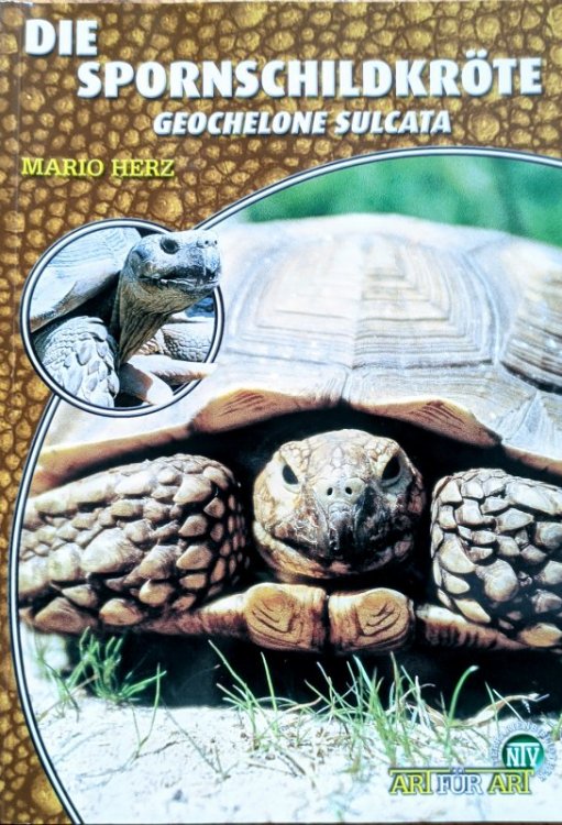 книга Сульката.jpg