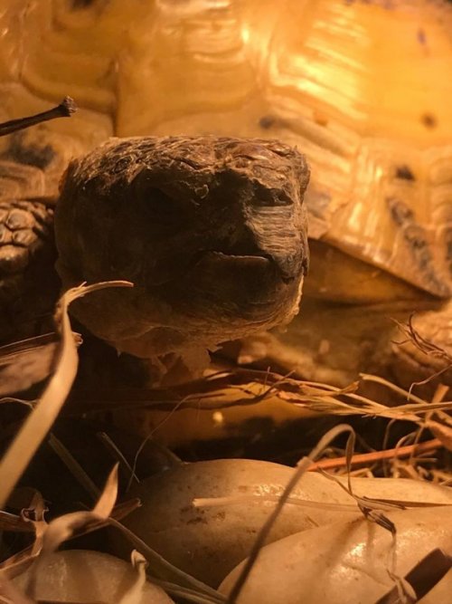 2021-03-03 18.56.09.jpg