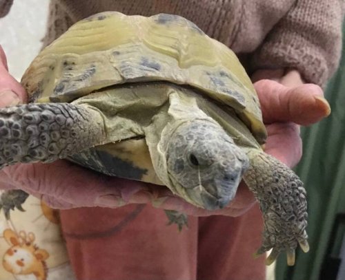 2021-03-03 18.56.45.jpg