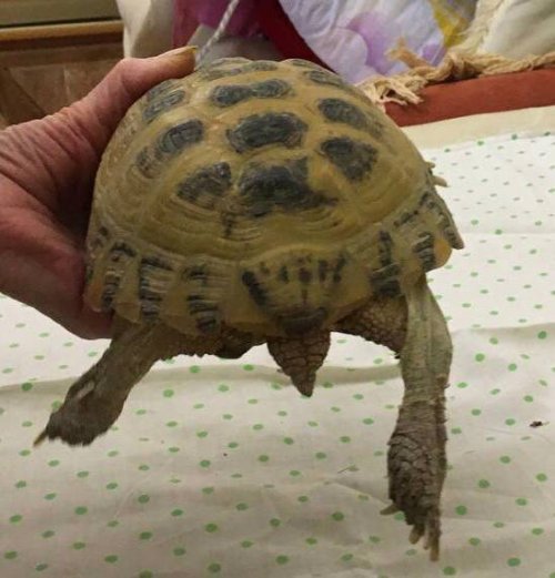 2021-03-03 18.56.42.jpg