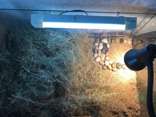 2021-03-03 18.56.33.jpg