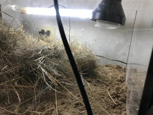 2021-03-03 18.56.30.jpg