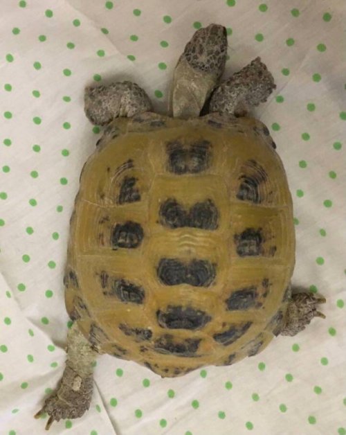 2021-03-03 18.56.50.jpg