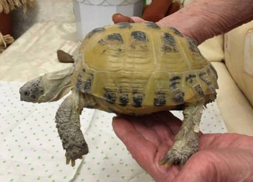 2021-03-03 18.56.54.jpg