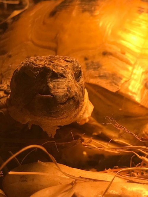 2021-03-03 18.56.24.jpg