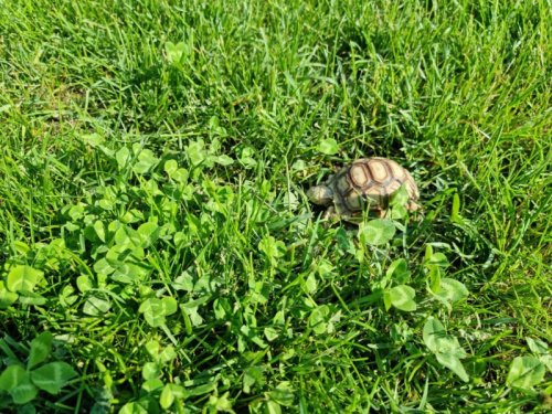 photo_2021-06-21 17.51.26.jpeg