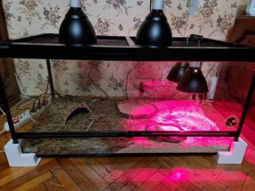 photo_2021-06-08 03.32.37.jpeg