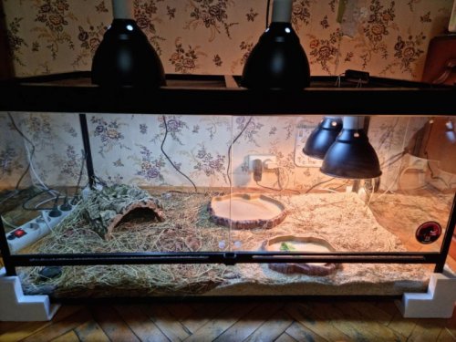 photo_2021-06-08 03.32.45.jpeg