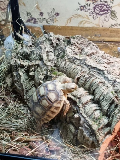 photo_2021-06-08 03.32.34.jpeg