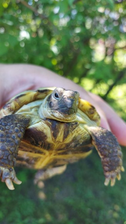 20210722_151825 — копия.jpg