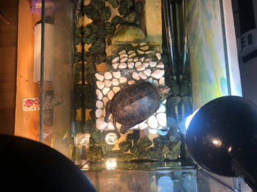 2021-08-27 13.58.45.jpg