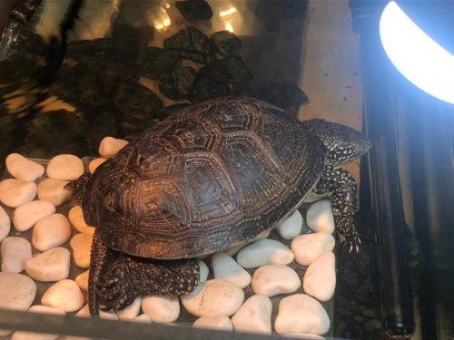 2021-08-27 13.58.40.jpg