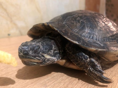 WhatsApp Image 2021-10-23 at 21.32.44.jpeg