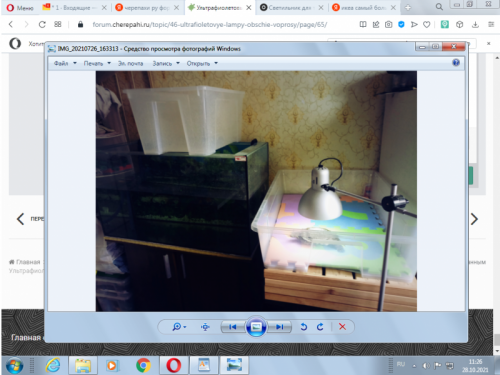 новый стимок отсадника.png