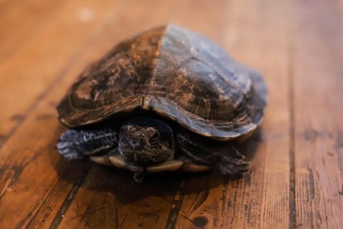 WhatsApp Image 2021-10-23 at 21.32.41.jpeg