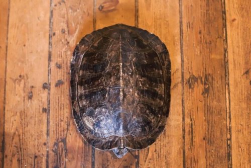 WhatsApp Image 2021-10-23 at 21.32.40.jpeg