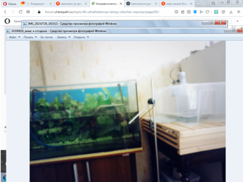 новый стимок отсадника2.png