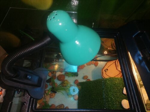 IMG_20211201_090553 (1).jpg