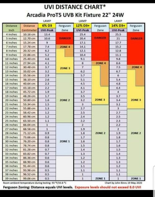 УФБ Аркадия Т5.jpg