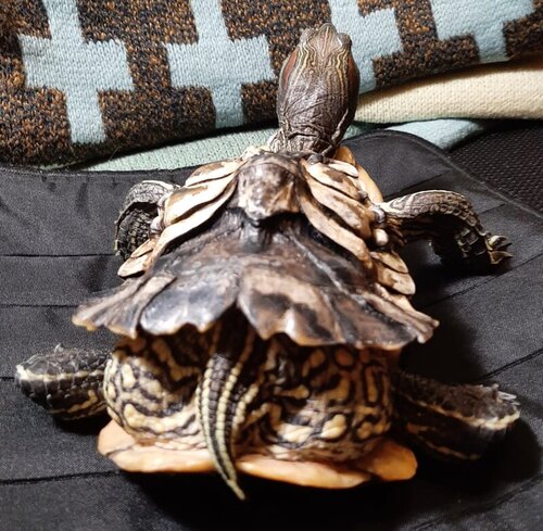 WhatsApp Image 2022-02-04 at 19.11.28.jpeg