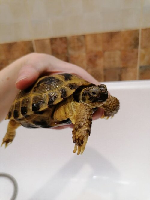 IMAGE 2022-02-09 22:47:59.jpg