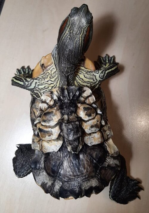 WhatsApp Image 2022-02-04 at 19.11.28 (2).jpeg