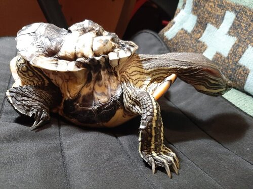 WhatsApp Image 2022-02-04 at 19.11.28 (1).jpeg