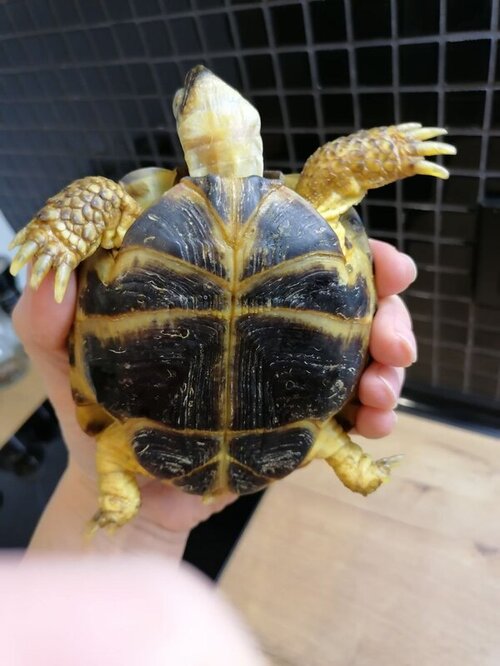 IMAGE 2022-02-09 22:48:02.jpg