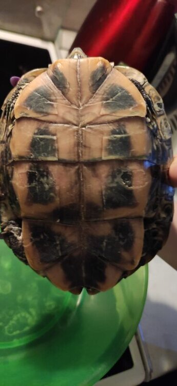 WhatsApp Image 2022-02-03 at 20.06.19 (1).jpeg