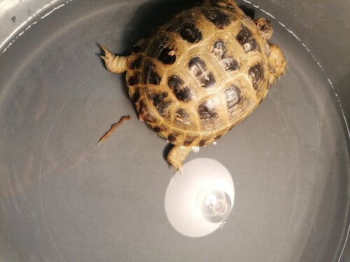 IMAGE 2022-02-10 11:35:46.jpg