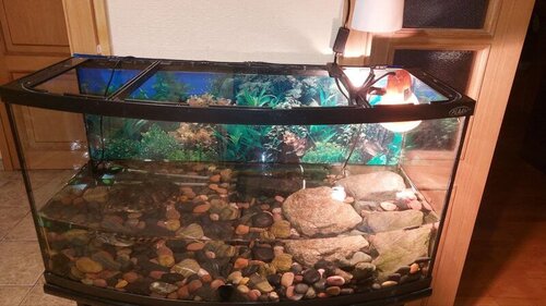 photo_2022-02-14_22-20-23 (2).jpg