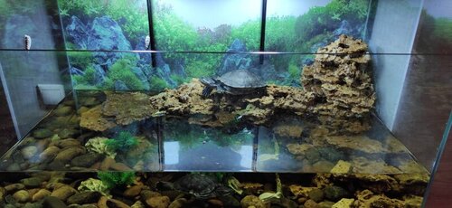 WhatsApp Image 2022-02-03 at 20.06.18.jpeg