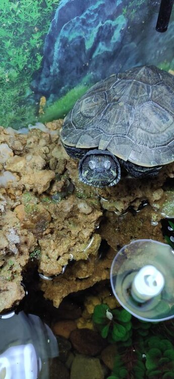 WhatsApp Image 2022-02-03 at 20.06.19.jpeg