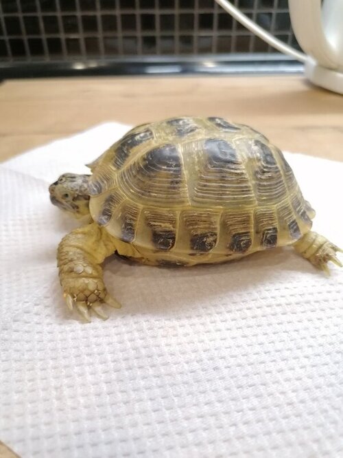 IMAGE 2022-02-09 22:47:57.jpg