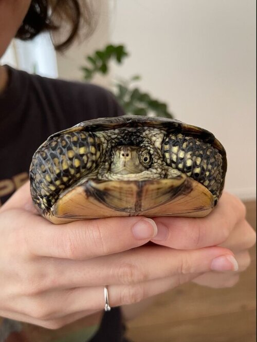 2022-03-04 20.27.18.jpg