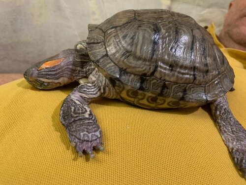 WhatsApp Image 2022-03-12 at 21.03.50.jpeg