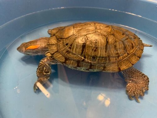 WhatsApp Image 2022-03-12 at 21.04.08.jpeg