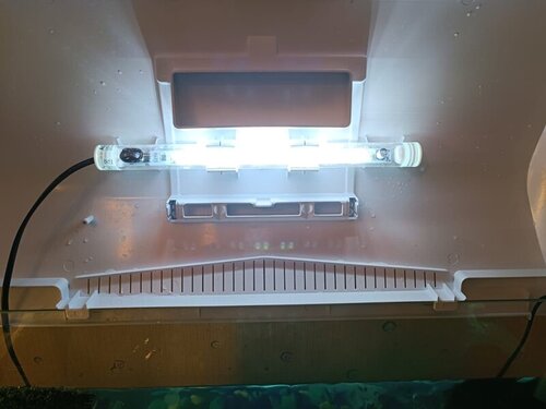 WhatsApp Image 2022-03-31 at 21.01.20.jpeg