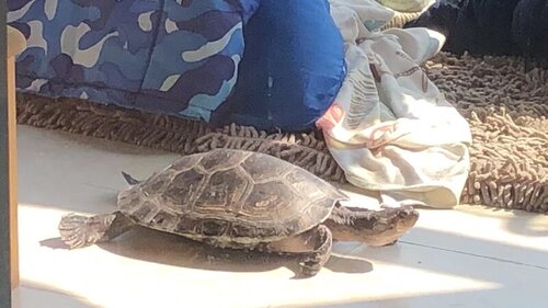 WeChat Image_20220308142233.jpg