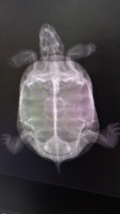 WhatsApp Image 2022-03-12 at 21.03.30.jpeg