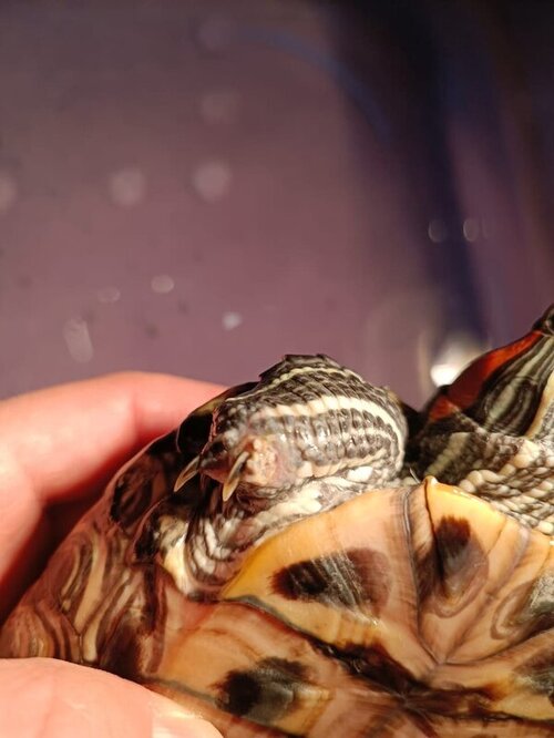 WhatsApp Image 2022-03-31 at 20.56.52 (10).jpeg